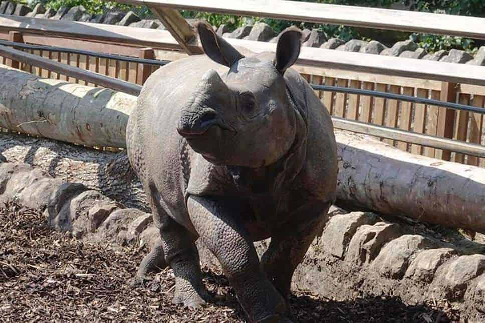 Edinburgh Zoo